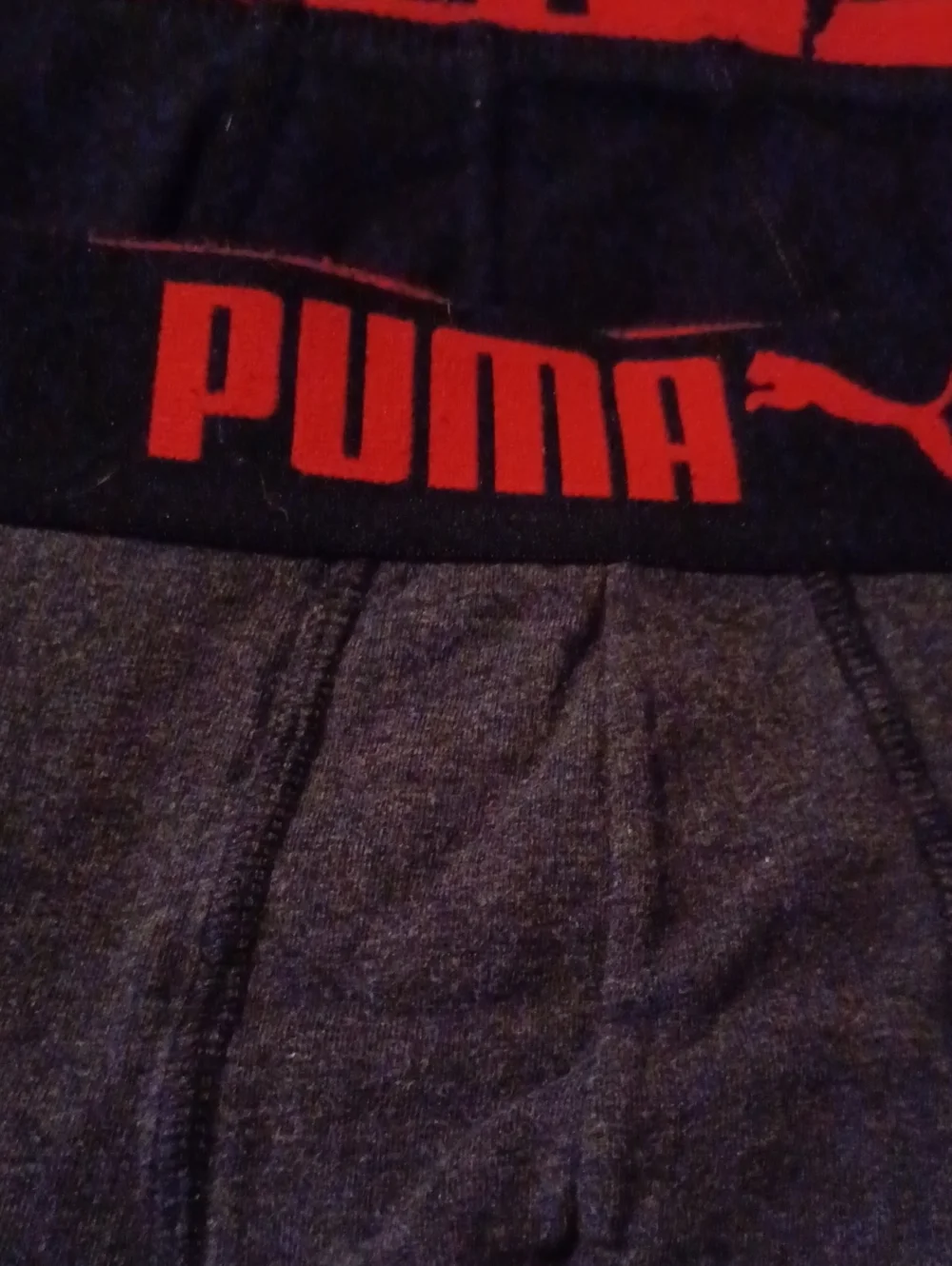 Puma boxer briefs
